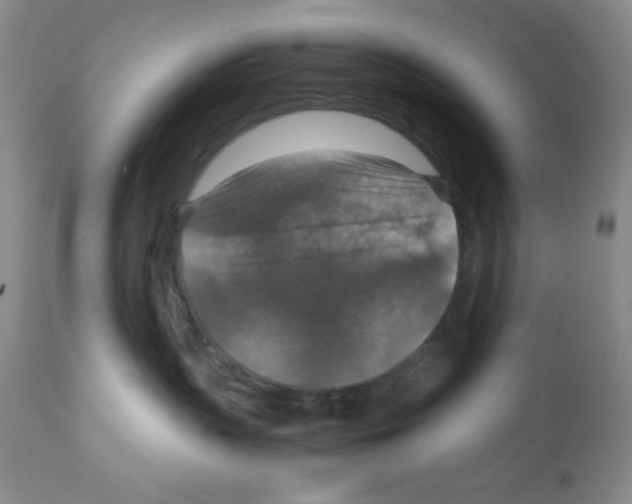 X0000112010383200909141131