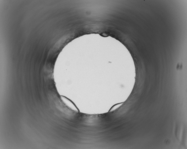 X0000112010384200909141131