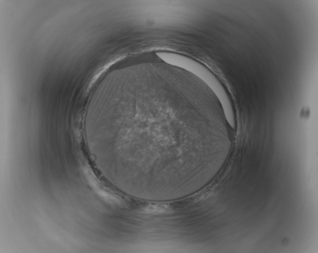 X0000112010386200909141131