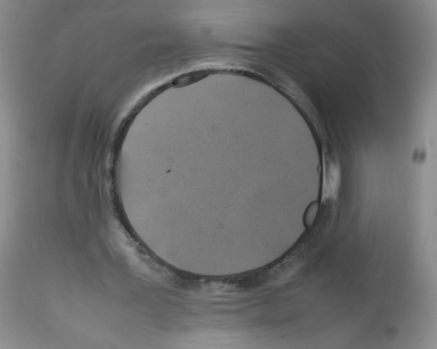 X0000112010387200909141131
