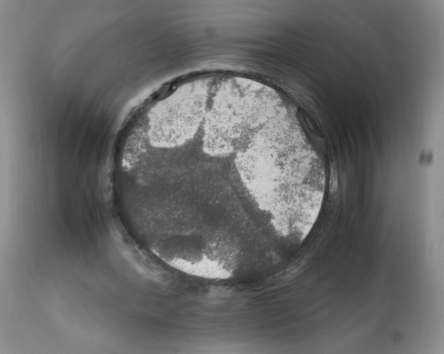 X0000112010388200909141131