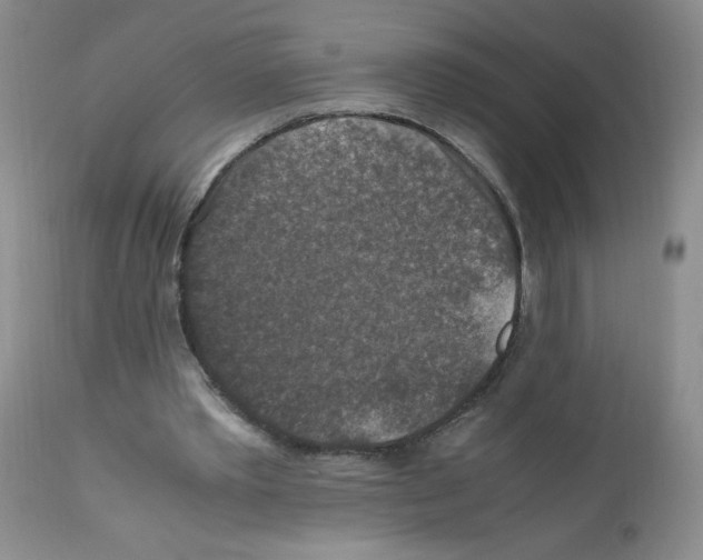 X0000112010389200909141131