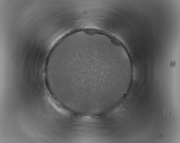 X0000112010390200909141131