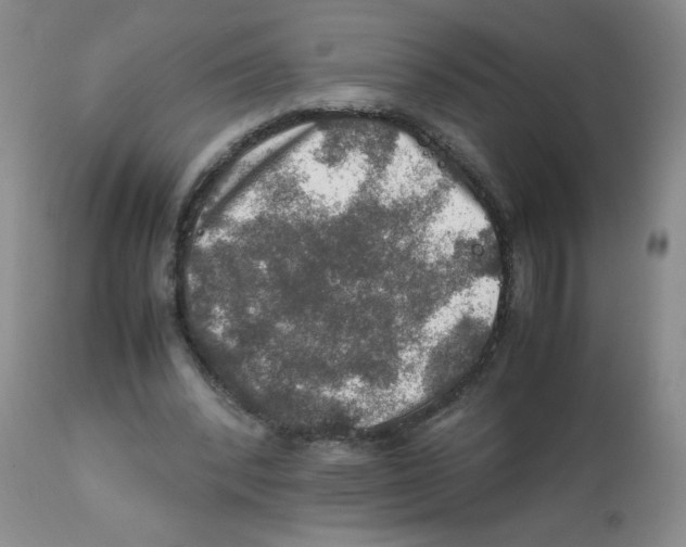 X0000112010392200909141130