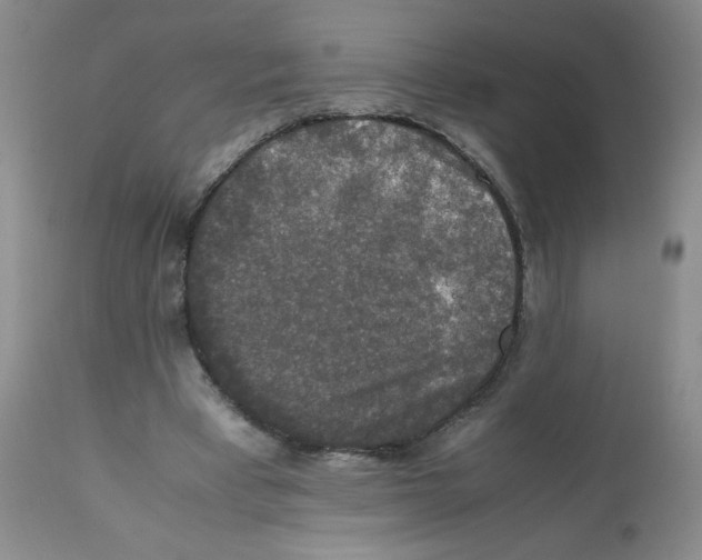 X0000112010393200909141130