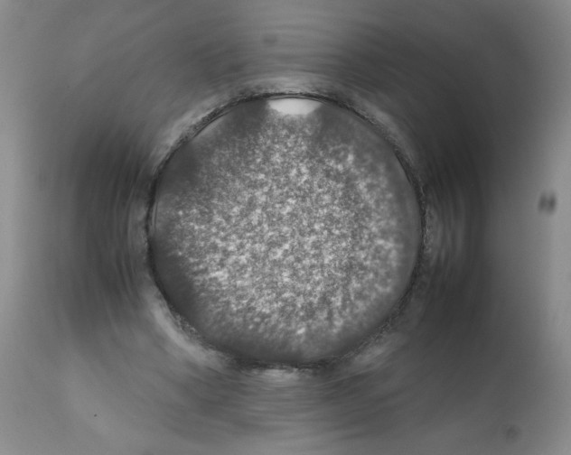 X0000112010394200909141130
