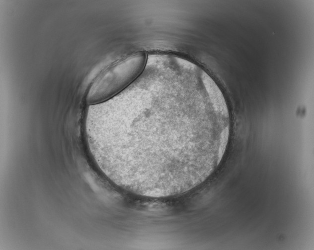 X0000112010395200909141130