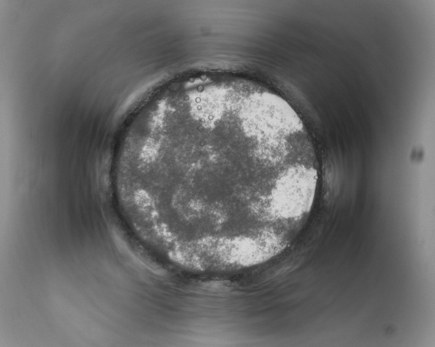 X0000112010396200909141130