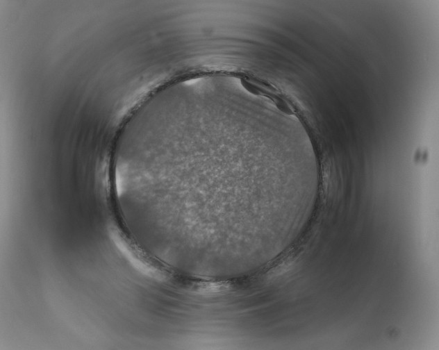 X0000112010398200909141130