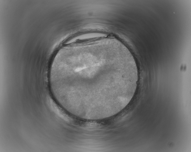 X0000112010399200909141130
