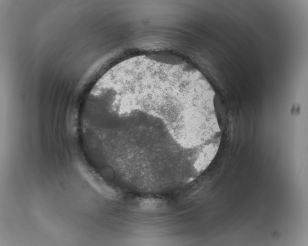 X0000112010400200909141130
