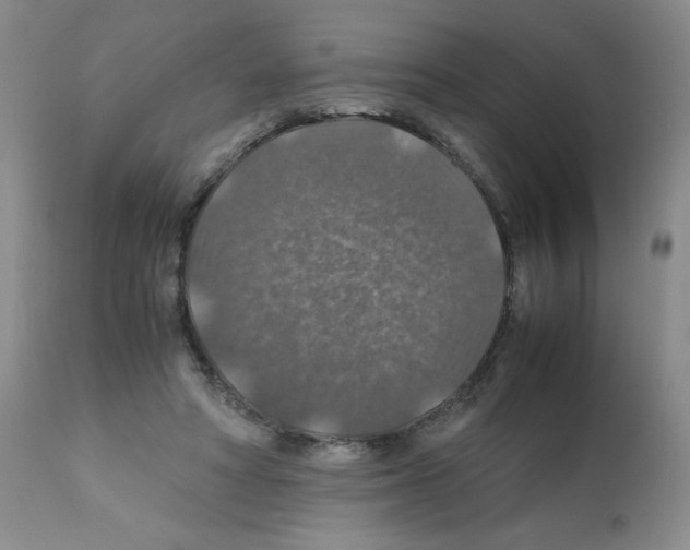 X0000112010402200909141130