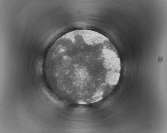 X0000112010404200909141130