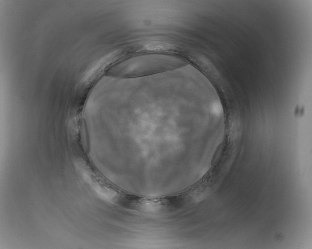 X0000112010405200909141130