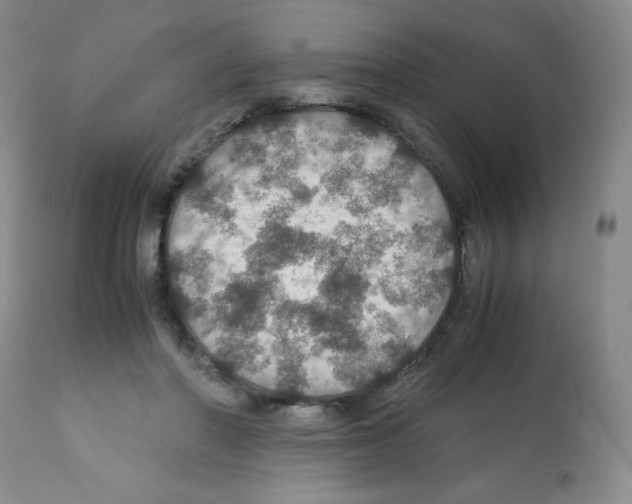 X0000112010406200909141130