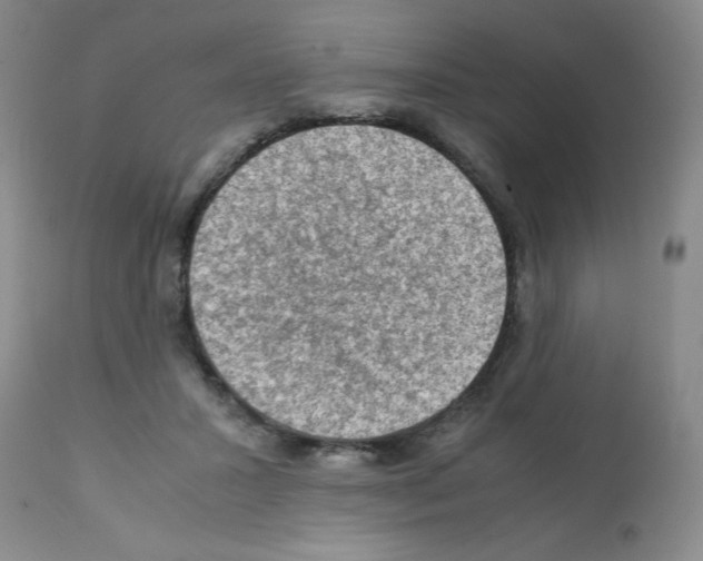 X0000112010407200909141130