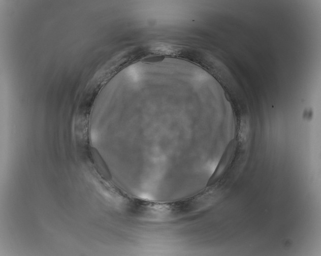 X0000112010409200909141130