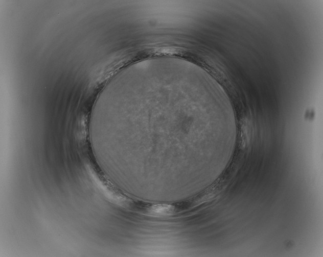 X0000112010410200909141130