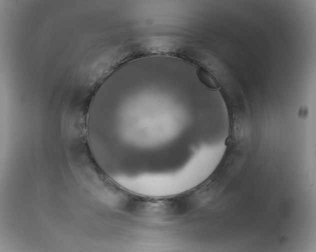 X0000112010411200909141130