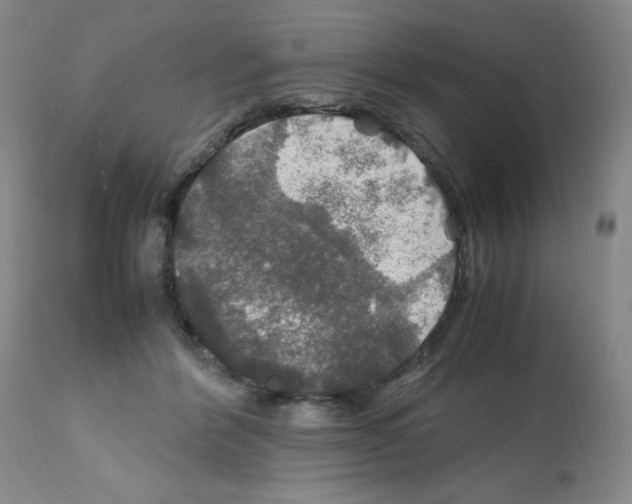 X0000112010412200909141130