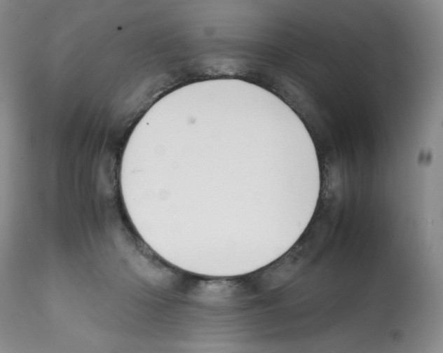 X0000112010414200909141130