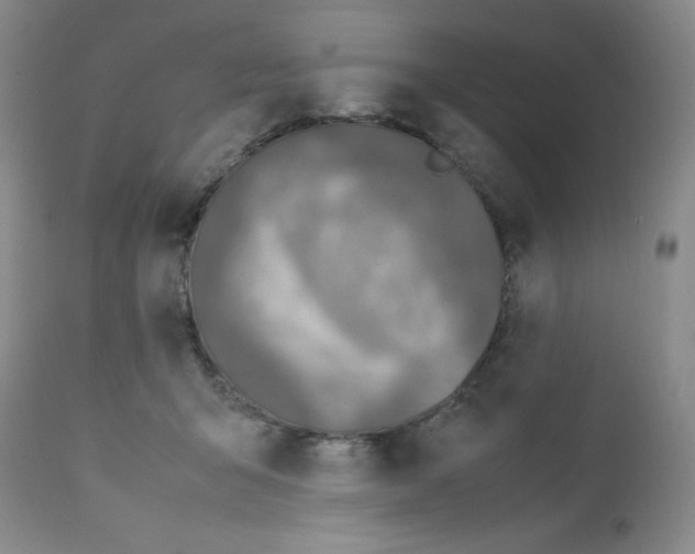 X0000112010415200909141130