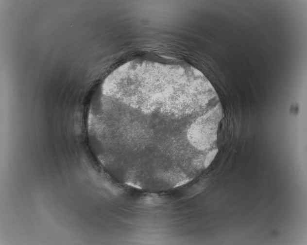 X0000112010416200909141130