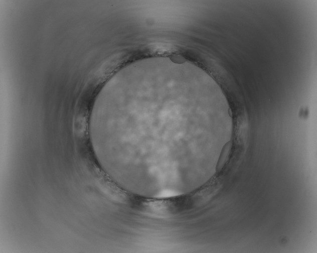 X0000112010417200909141130