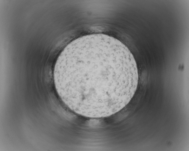 X0000112010418200909141130