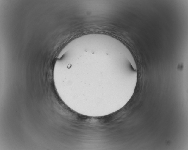 X0000112010419200909141130