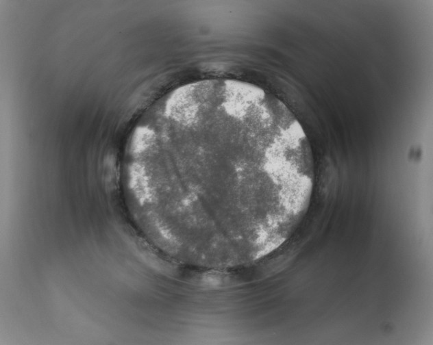 X0000112010420200909141130