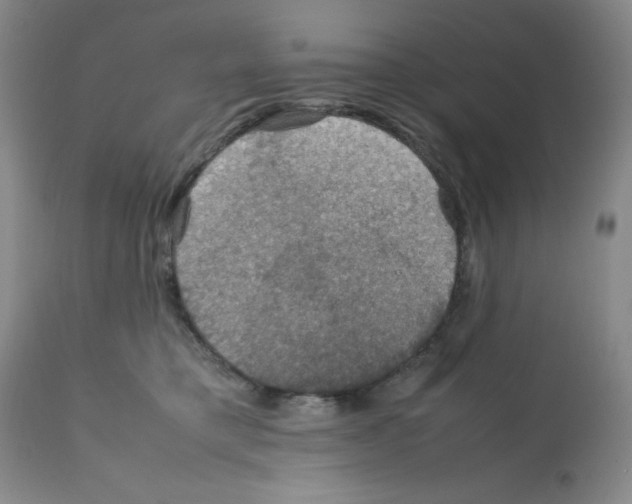 X0000112010421200909141130