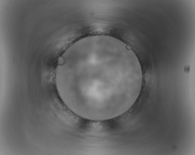 X0000112010423200909141130