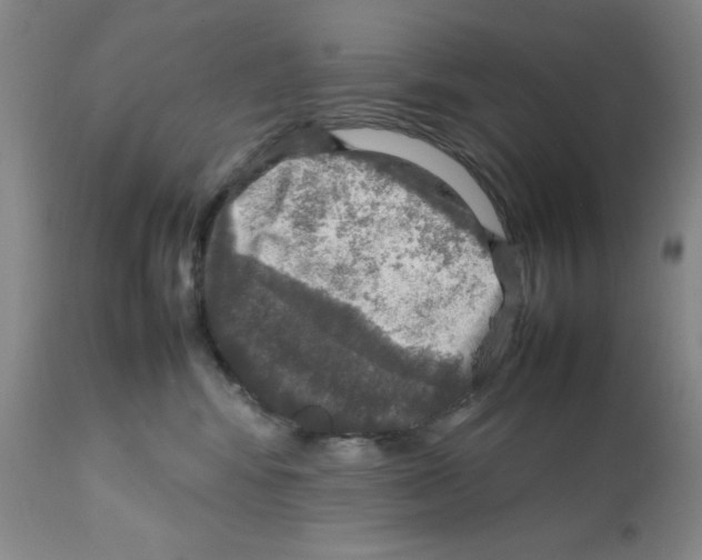 X0000112010424200909141130