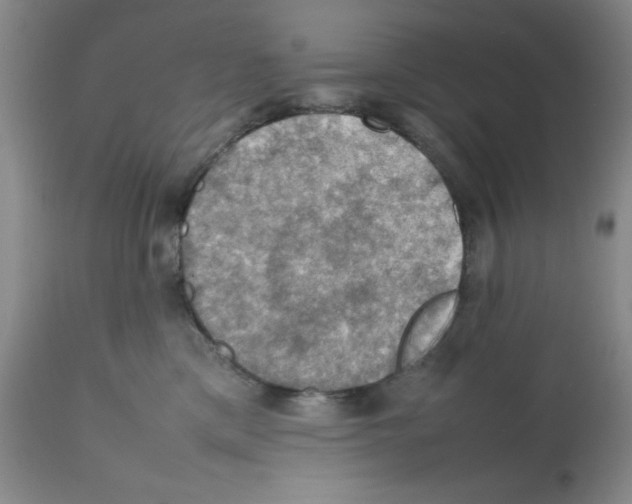 X0000112010425200909141130