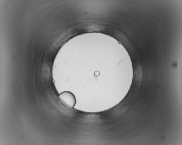 X0000112010426200909141130