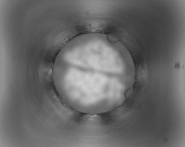 X0000112010427200909141130