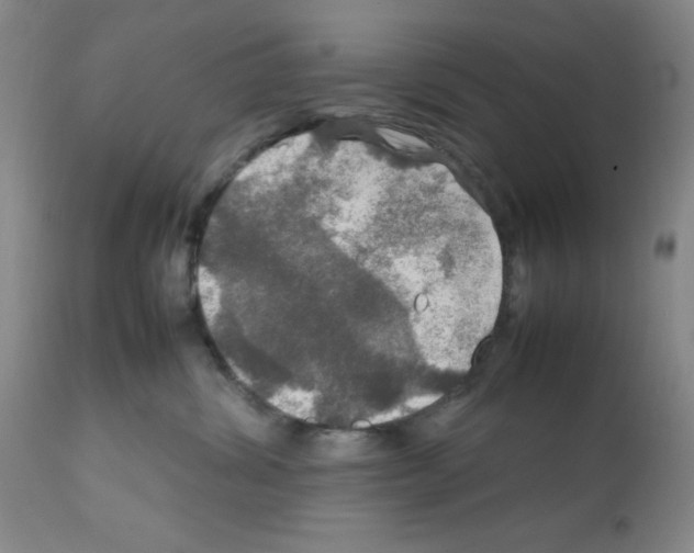 X0000112010428200909141130