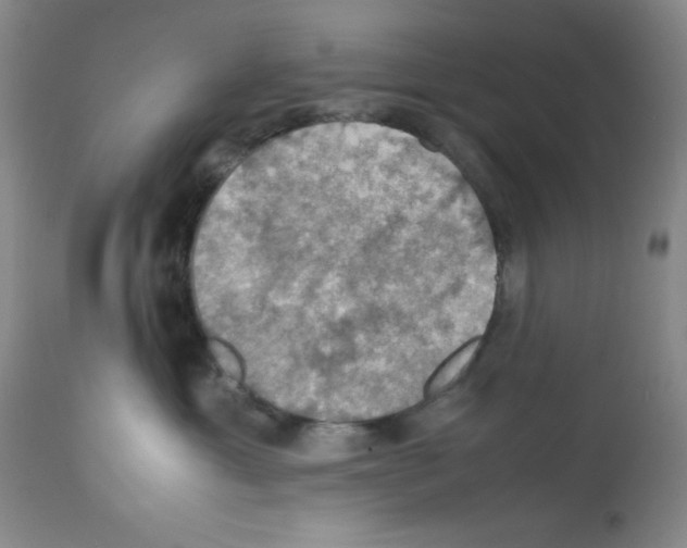 X0000112010429200909141130