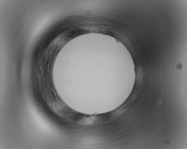 X0000112010430200909141130