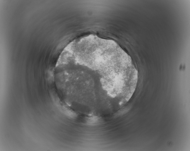 X0000112010432200909141130