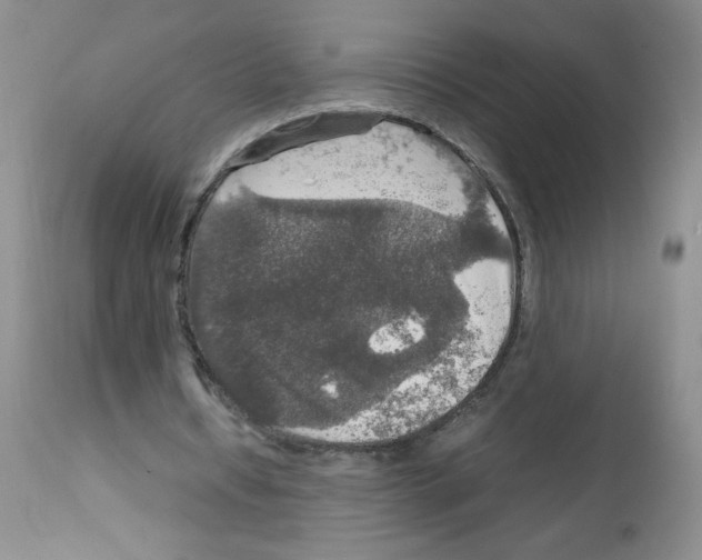 X0000112010434200909141129