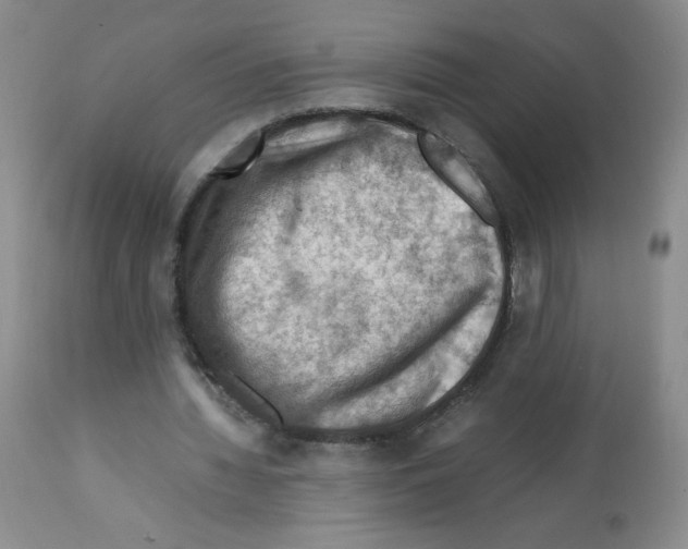 X0000112010436200909141129