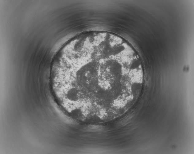 X0000112010437200909141129
