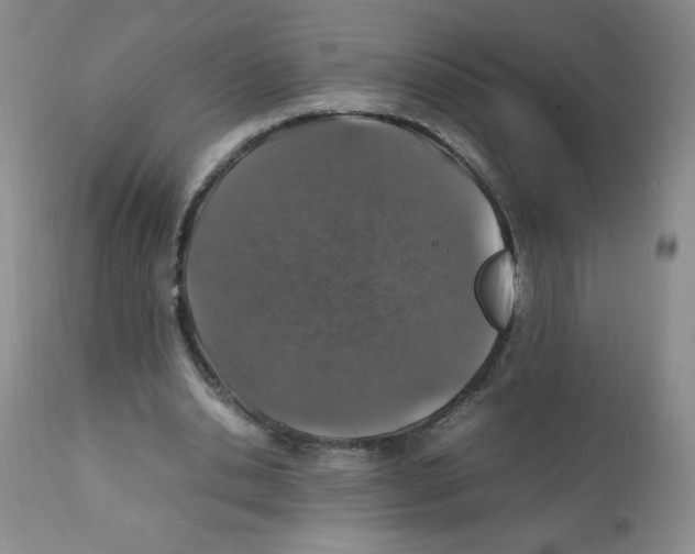 X0000112010438200909141129