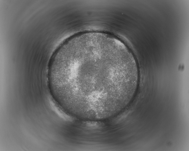 X0000112010439200909141129
