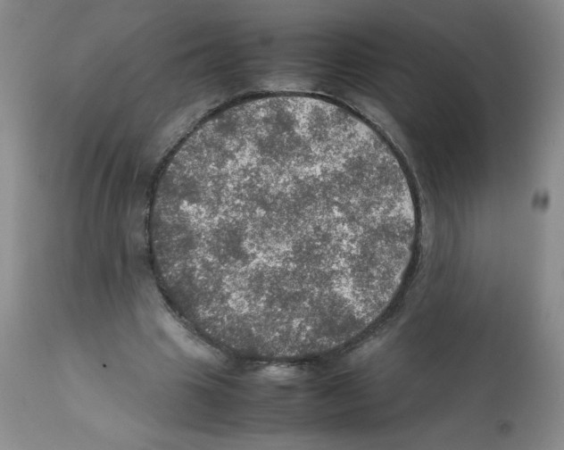 X0000112010441200909141129