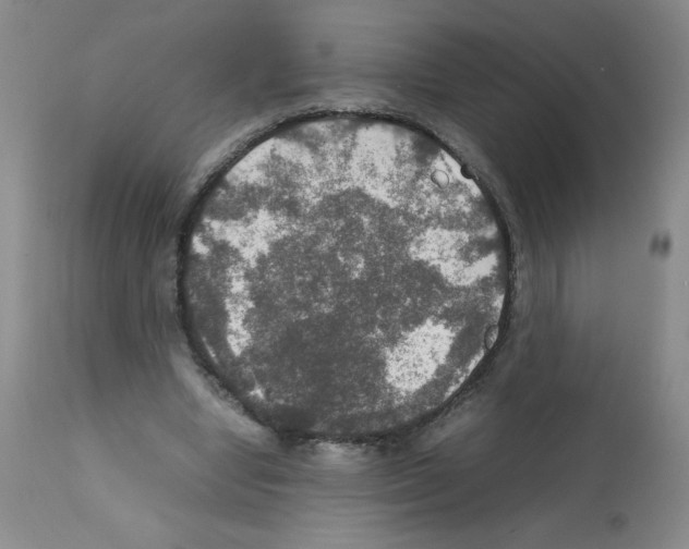 X0000112010442200909141129