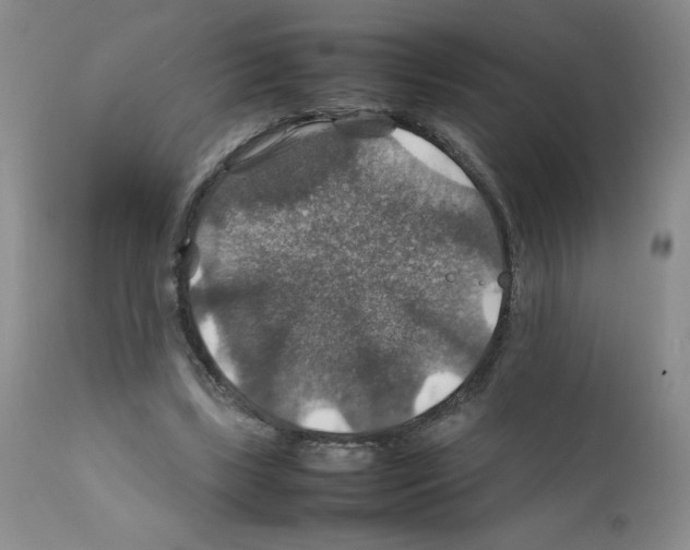 X0000112010443200909141129