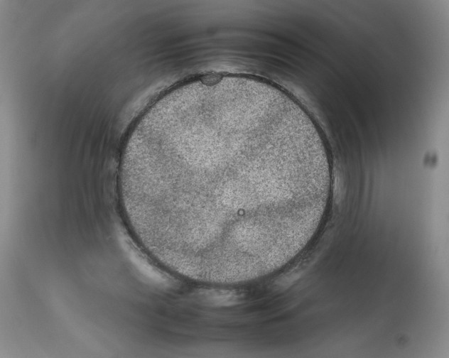 X0000112010445200909141129